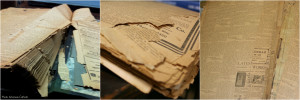 ArkCathArchive